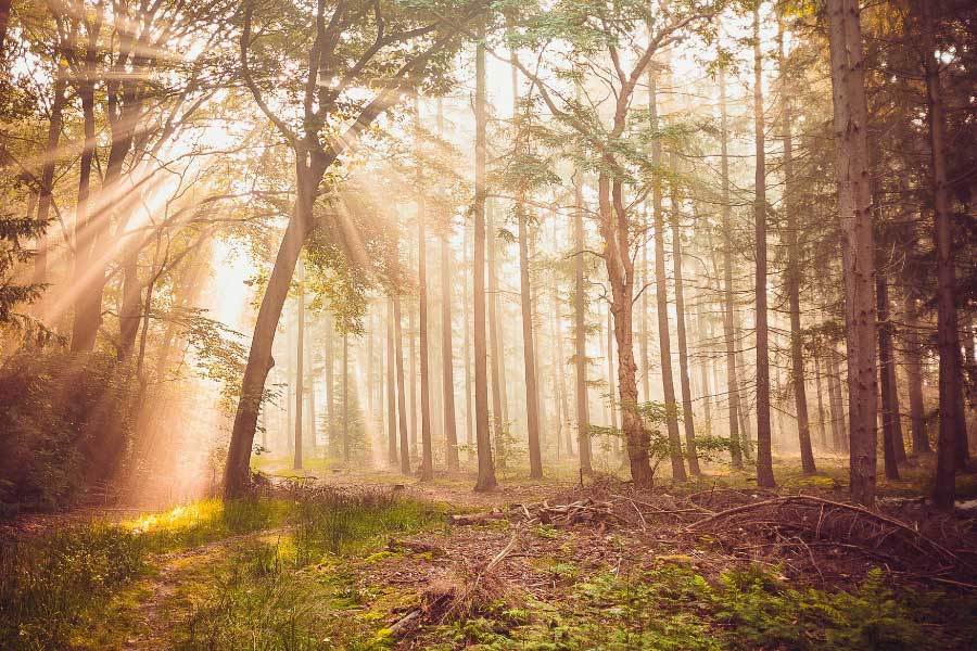 出智能路由器支持多设备连接麻将胡了模拟器科技公司推